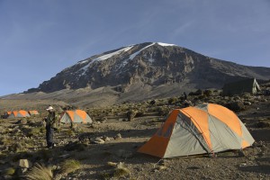 Kilimanjaro