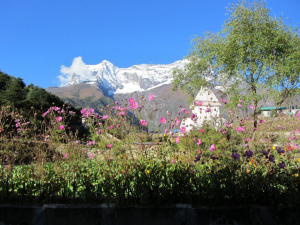 Vandra Everest Circuit
