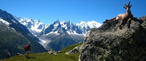 Vandra Tour du Mont Blanc med Adventure Lovers