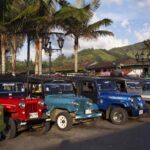 COL-RAO-EjeCaf-Salento-JCG-20-2