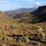 COL-RAO-EjeCafetero-PNNevados-PQuindio-DC-5