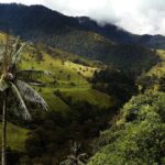 COL-RAO-EjeCafetero-ValleCocora-CFM-3